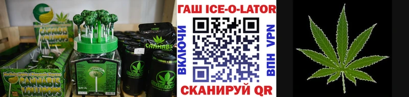 наркошоп  mega зеркало  Cannafood конопля  Новозыбков 