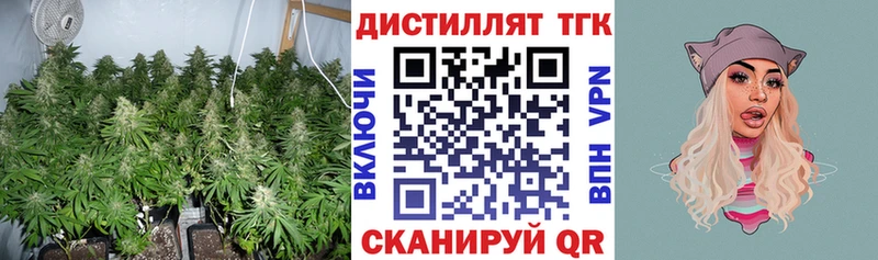 ТГК вейп  Новозыбков 