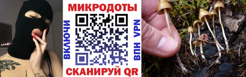 Псилоцибиновые грибы прущие грибы  Новозыбков 