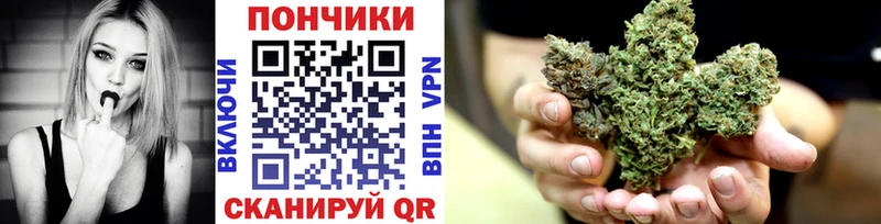 Марихуана сатива магазин наркотиков Новозыбков